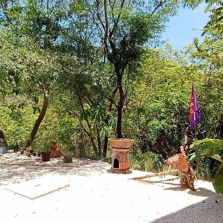Laurel Jungle & Ocean Villa Playa Santa Teresa  Exterior photo