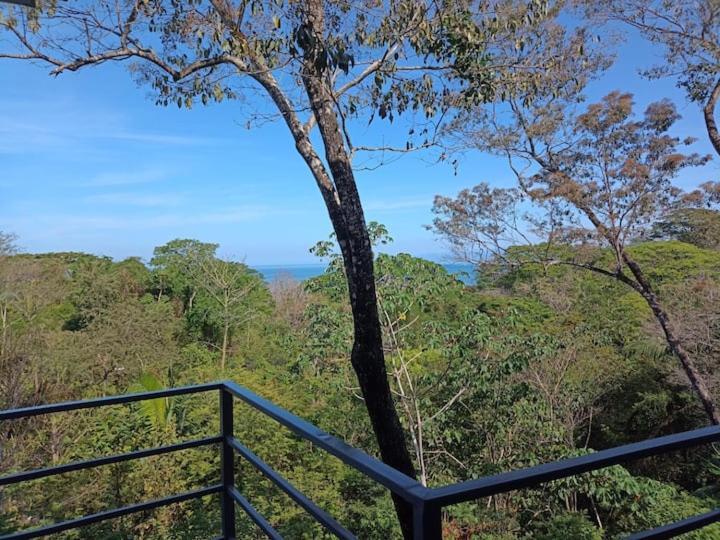 Laurel Jungle & Ocean Villa Playa Santa Teresa  Exterior photo
